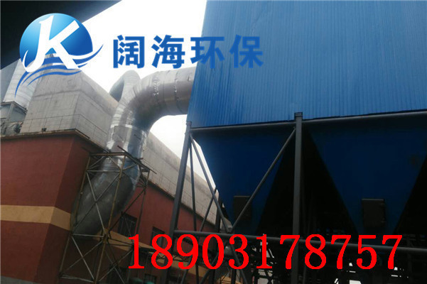 生物質鍋爐除塵器